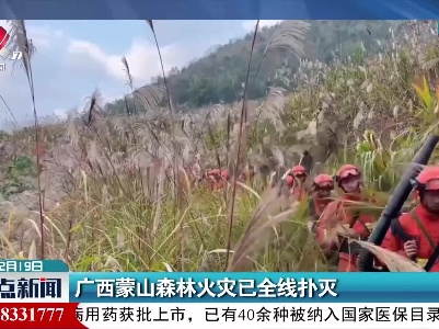广西蒙山森林火灾已全线扑灭