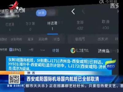 陕西：西安咸阳国际机场国内航班已全部取消