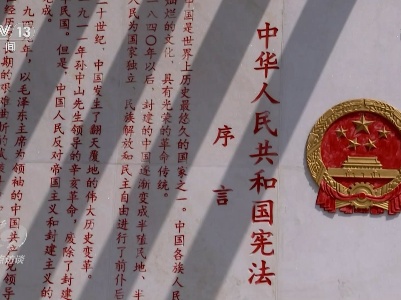 焦点访谈：尊崇宪法 与“法”同行