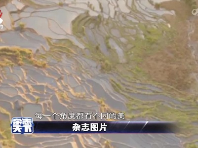 杂志天下20211228