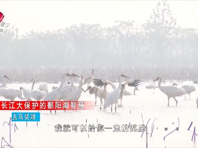长江大保护的鄱阳湖智慧