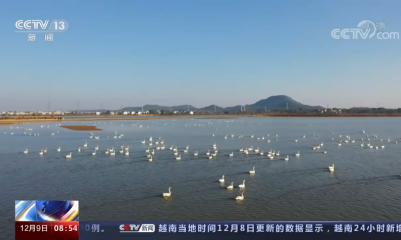 央视报道：江西南昌修建防护栏 保护候鸟栖息环境