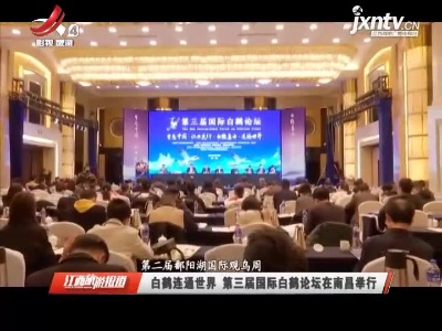 【第二届鄱阳湖国际观鸟周】白鹤连通世界 第三届国际白鹤论坛在南昌举行