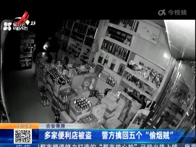 吉安青原：多家便利店被盗 警方擒回五个“偷烟贼”