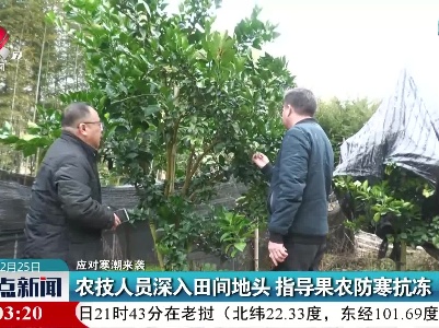 【应对寒潮来袭】农技人员深入田间地头 指导果农防寒抗冻