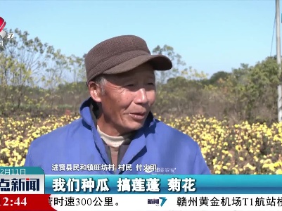 【乡村振兴正当时】南昌：荒地绽放“黄金花”农民增收乐开怀