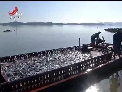 三农要闻20211228