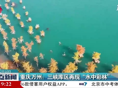 重庆万州：三峡库区再现“水中彩林”