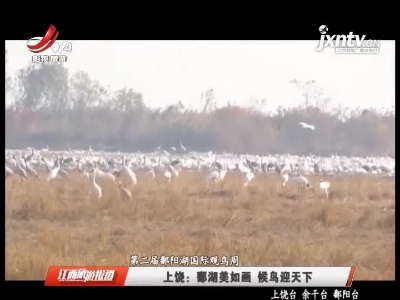 【第二届鄱阳湖国际观鸟周】上饶：鄱湖美如画 候鸟迎天下