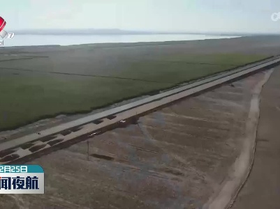 新疆首条穿越沙漠高速公路正式通车