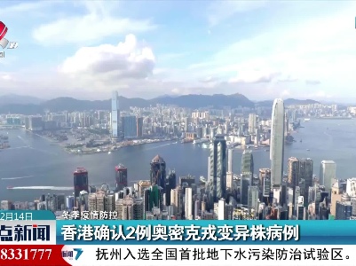 整点新闻20211214 12:00
