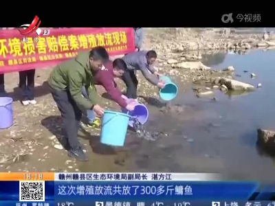 赣州赣县区：非法电鱼30斤 生态补偿300斤！