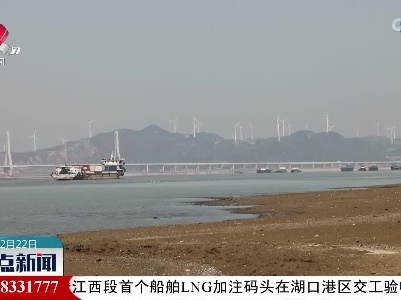 “十年禁捕”一年 鄱阳湖现“鱼跃”场景