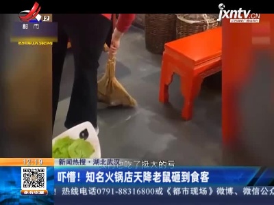 【新闻热搜】湖北武汉：吓懵！ 知名火锅店天降老鼠砸到食客