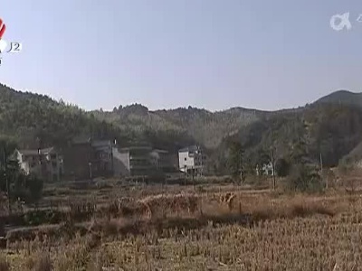 【聚焦“放管服”改革 曝光“怕慢假庸散”】上饶广信区：200多亩农田荒废一年 土地流转后遗症如何处理？