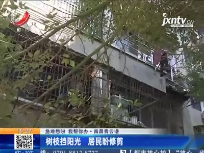 【急难愁盼 我帮你办】南昌青云谱：树枝挡阳光 居民盼修剪