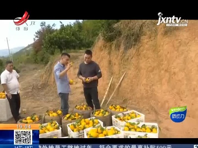 江西：打造“江西绿色生态”品牌 我省优质产品又增新名片