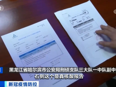 热评|夫妇俩制作上百份假核酸报告，这钱可不能赚