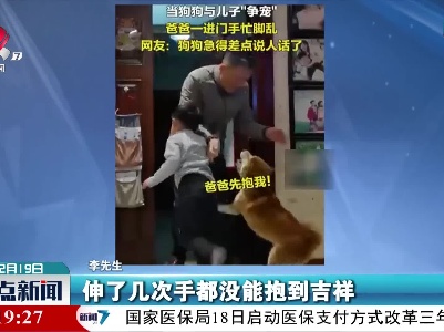 儿子与小狗争宠 爸爸手忙脚乱