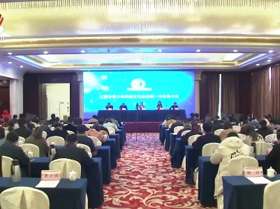 江西省青少年网络文化协会在南昌成立