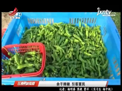 上饶：余干辣椒 引客富民