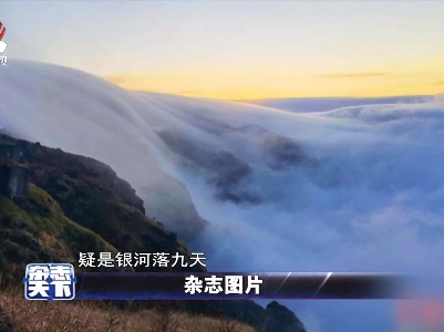 杂志天下20211220