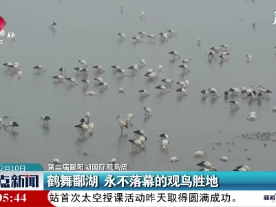 【第二届鄱阳湖国际观鸟周】鹤舞鄱湖 永不落幕的观鸟胜地