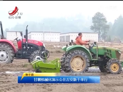 三农要闻20211230