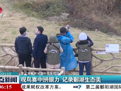【第二届鄱阳湖国际观鸟周】观鸟赛中拼眼力 记录群湖生态美