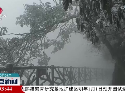 【压轴寒潮来袭】张家界天门山银装素裹