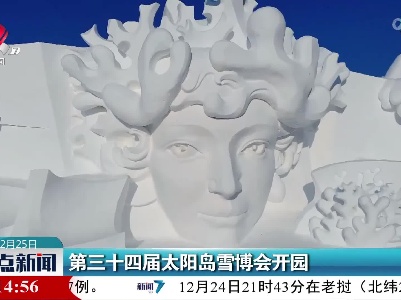 第三十四届太阳岛雪博会开园