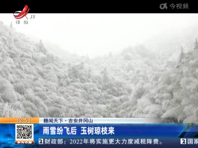 【赣闻天下】吉安井冈山：雨雪纷飞后 玉树琼枝来