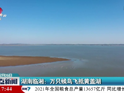湖南临湖：万只候鸟飞抵黄盖湖