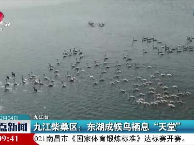 九江柴桑区：东湖成候鸟栖息“天堂”