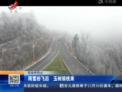 吉安井冈山：雨雪纷飞后 玉树琼枝来