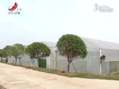 三农要闻20211208