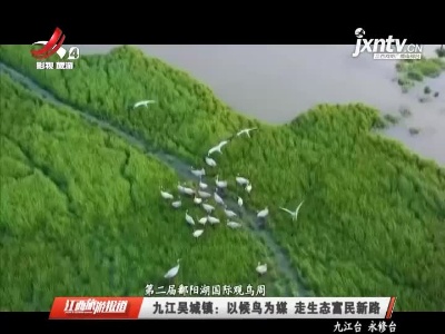 【第二届鄱阳湖国际观鸟周】九江吴城镇：以候鸟为媒 走生态富民新路
