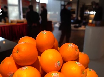 赣南脐橙文化周活动在北京启动