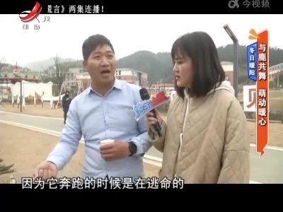 地宝当家20211227
