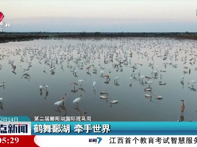 【第二届鄱阳湖国际观鸟周】鹤舞鄱湖 牵手世界