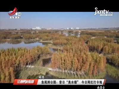 南昌·鱼尾洲公园：昔日“臭水塘”今日网红打卡地