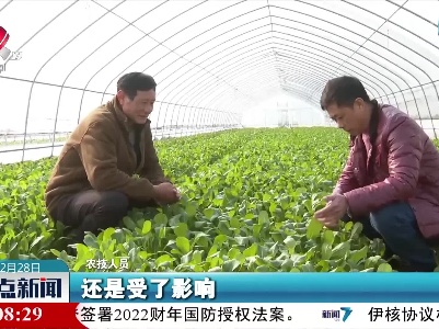 深入田头开“处方” 防寒抗冻保生产