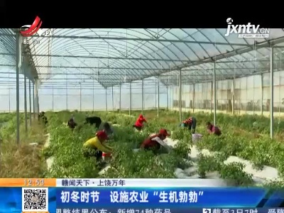 【赣闻天下】上饶万年：初冬时节 设施农业“生机勃勃”