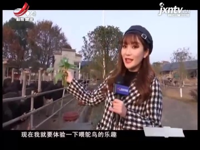 江西旅游报道20211201