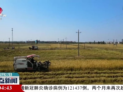 今年江西省粮食总产438.5亿斤