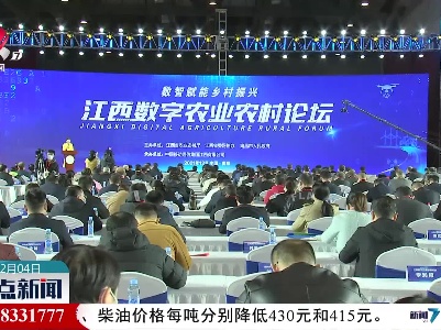 整点新闻20211204 10:00