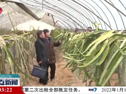 【寒潮来袭】新余：做好农作物防寒抗冻工作