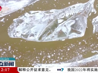 【冬景 别有意味】黄河宁夏段进入凌汛期