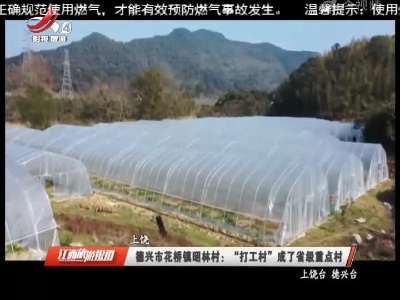 上饶德兴市花桥镇昭林村：“打工村”成了省级重点村