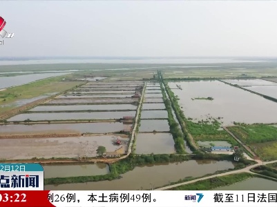 整点新闻20211212 14:00